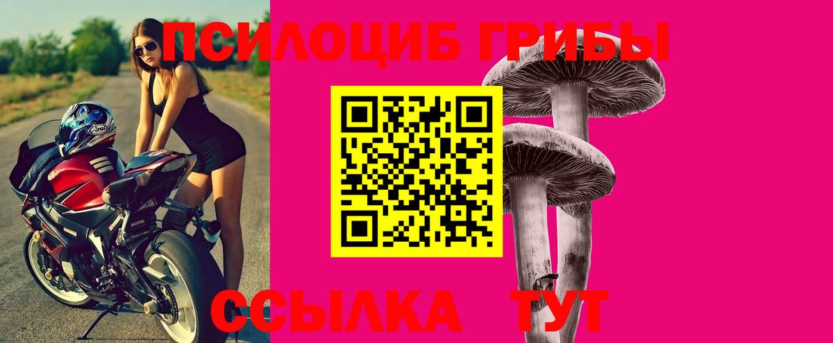 Псков  Псилоцибиновые грибы MAGIC MUSHROOMS  Галлюциногенные грибы Psilocybine cubensis  как найти закладки  Вход с VPN 